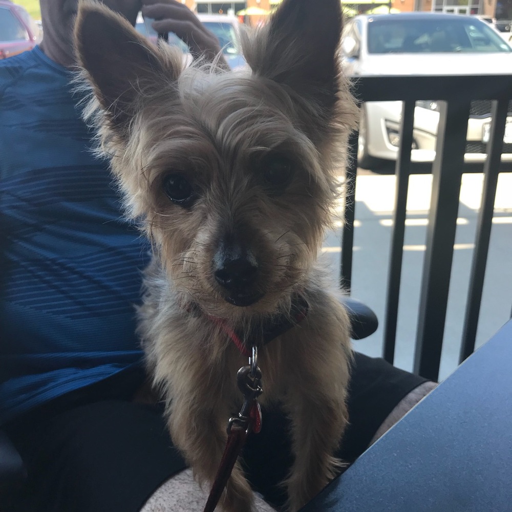 Meet your Posher, Donna